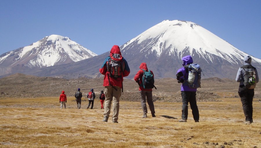 Federación de Empresas de Turismo de Chile advierte que si sigue la violencia no será posible reactivar el rubro