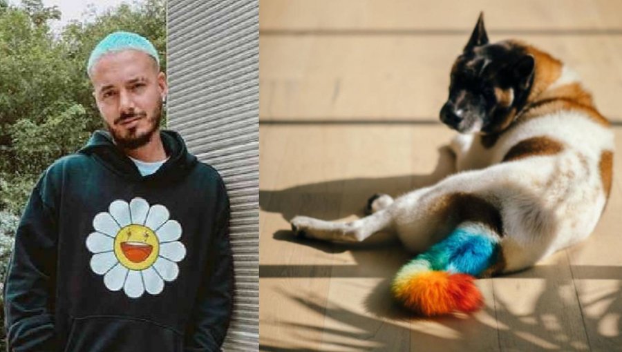 J Balvin en el ojo del huracán: lo acusan de maltrato animal y él salió a defenderse