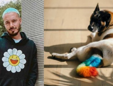 J Balvin en el ojo del huracán: lo acusan de maltrato animal y él salió a defenderse