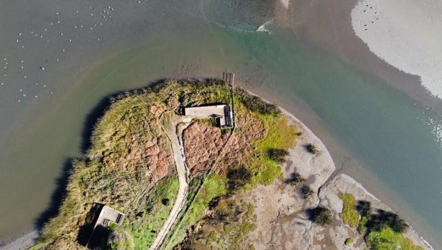 Parque Humedal La Isla de Concón abre sus puertas al público con diversas medidas sanitarias