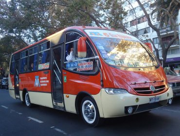 Chofer de microbús de Valparaíso fue agredido por cantante ambulante a quien le impidió cantar por no usar mascarilla