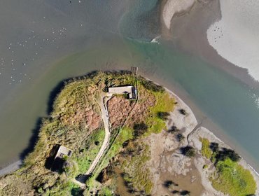 Parque Humedal La Isla de Concón abre sus puertas al público con diversas medidas sanitarias