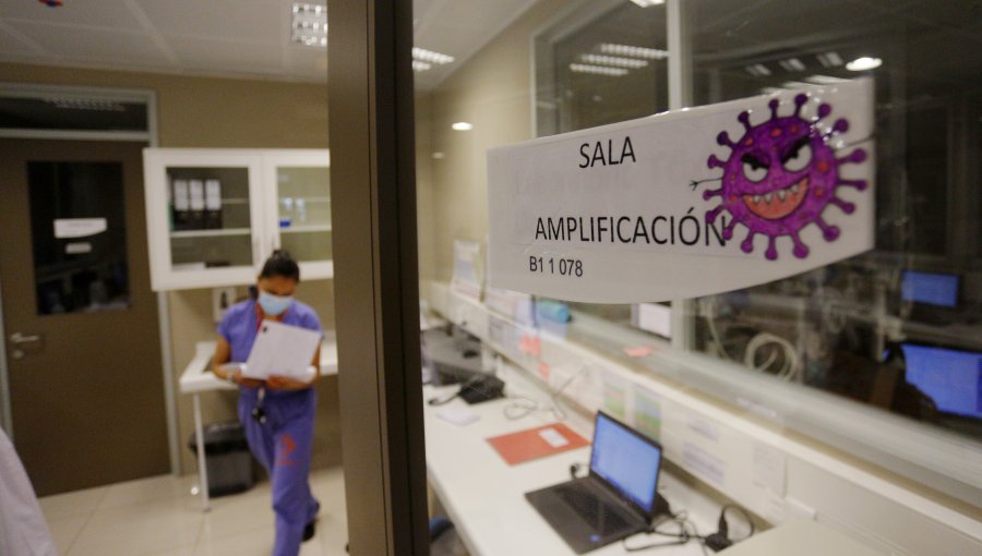 Instituto de Salud Pública asegura que variante del SARS-CoV-2 de Magallanes no preocupa a la OMS