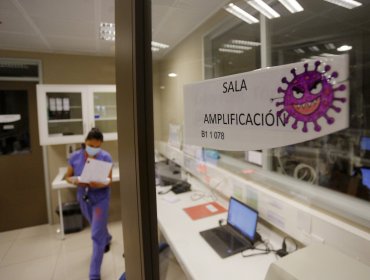 Instituto de Salud Pública asegura que variante del SARS-CoV-2 de Magallanes no preocupa a la OMS