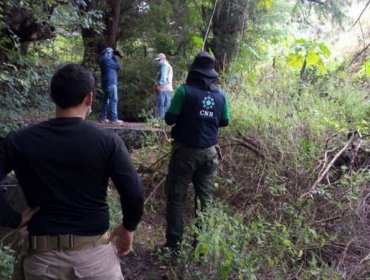 Encuentran restos de 59 personas en fosas de Guanajuato, el estado más violento de México