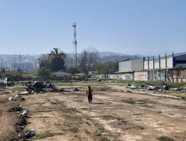 Municipio de Villa Alemana reactiva gestiones para recuperar terreno donde han proliferado tomas