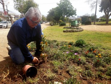 UDI lanza su carta para la alcaldía de Concón de cara a las primarias del Chile Vamos