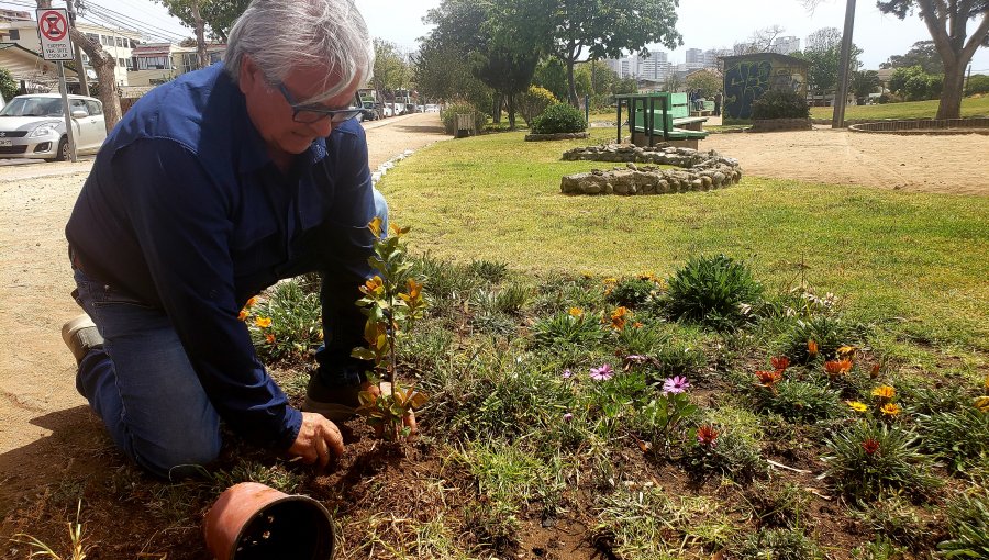 UDI lanza su carta para la alcaldía de Concón de cara a las primarias del Chile Vamos