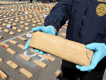 Desbaratan en Iquique a banda delictual dedicada al tráfico de drogas: decomisan 557 kilos de cocaína y marihuana