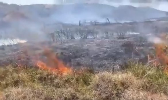 Declaran Alerta Roja para la comuna de Isla de Pascua por incendio forestal cercano a sectores habitados