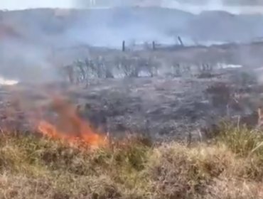 Declaran Alerta Roja para la comuna de Isla de Pascua por incendio forestal cercano a sectores habitados