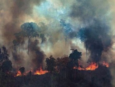 Incendios en la Amazonía disparan las emisiones de dióxido de carbono en Brasil