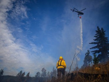 Declaran Alerta Temprana para cinco provincias de la región de Valparaíso por amenaza de incendio forestal