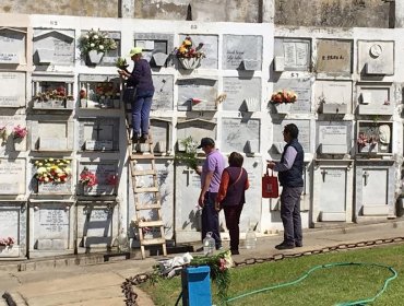 Cementerio de Viña del Mar abrirá sus puertas en forma parcial con sistema de turnos