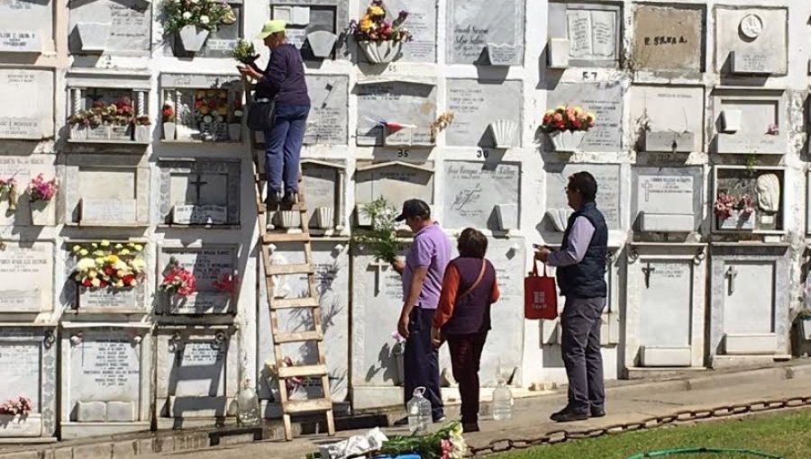 Cementerio de Viña del Mar abrirá sus puertas en forma parcial con sistema de turnos