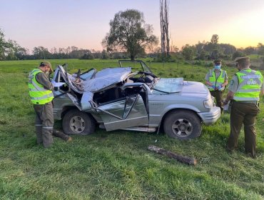 Niña de 2 años murió luego que un árbol cayera sobre auto en que se movilizaba en Los Lagos