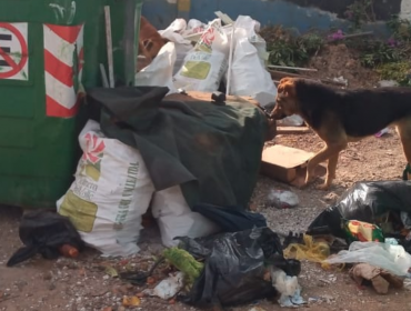 REVISAR OPTICA DE MAL USO VECINOS Acumulación de basura en sector alto de Viña del Mar fue denunciado a la Seremi de Salud: vecinos acusan abandono