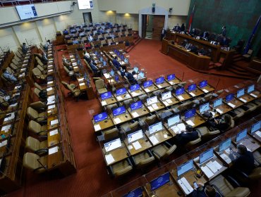 Cámara de Diputados aprobó de forma unánime el retiro forzoso de deudores de pensiones alimenticias