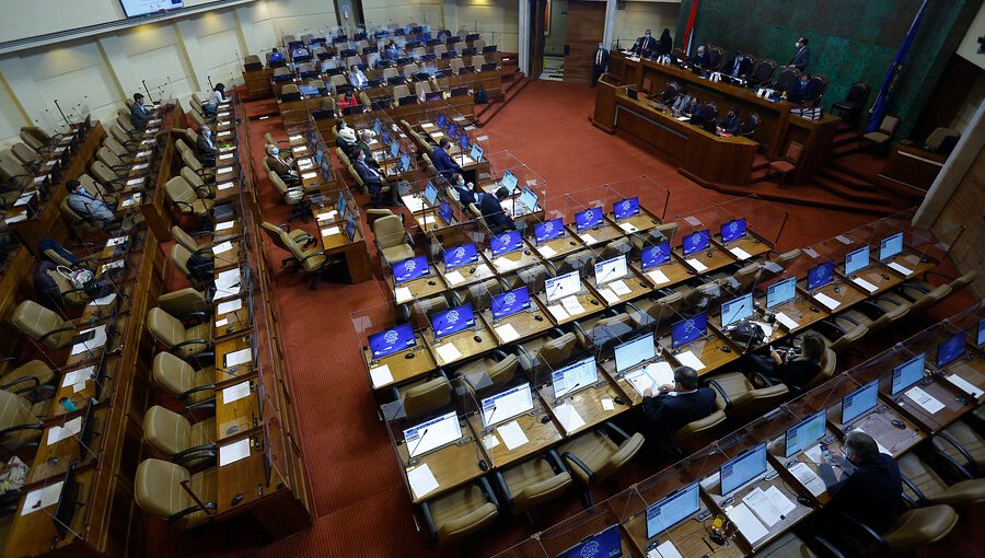 Cámara de Diputados aprobó de forma unánime el retiro forzoso de deudores de pensiones alimenticias