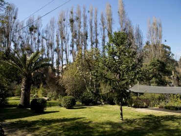 Luego de meses, Parque Quintil de Valparaíso vuelve a abrir sus puertas al público