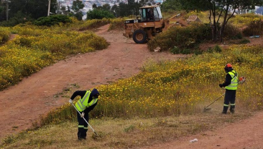 Área de construcción de cortafuegos se aumentó en 116 kilómetros en Viña del Mar