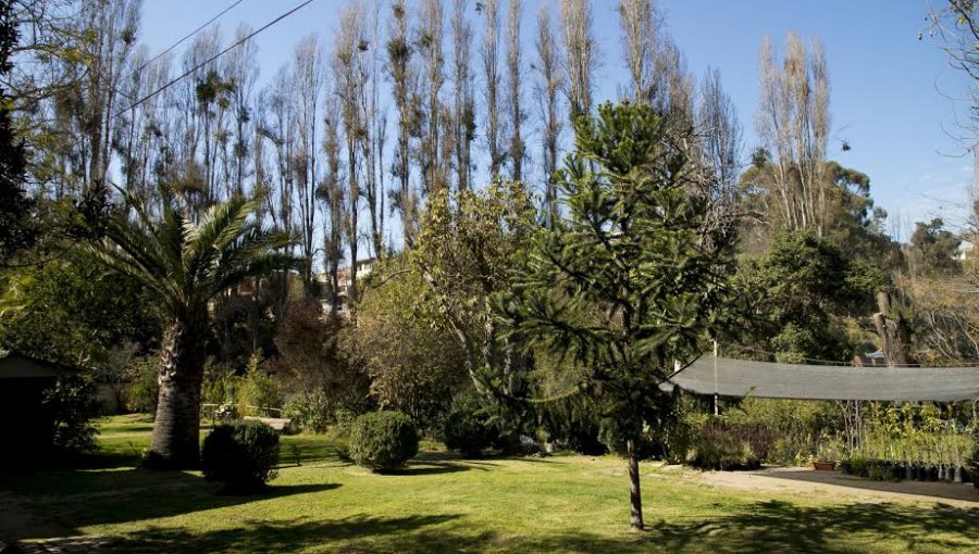 Luego de meses, Parque Quintil de Valparaíso vuelve a abrir sus puertas al público