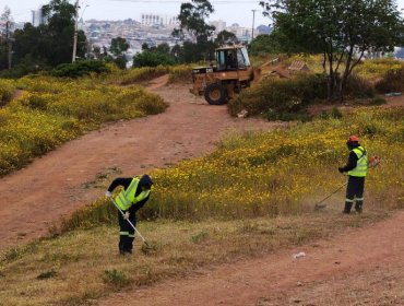 Área de construcción de cortafuegos se aumentó en 116 kilómetros en Viña del Mar