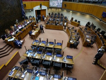 Senado fija en 3/5 el quórum para aprobar la reforma constitucional que reserva escaños en la Convención Constitucional