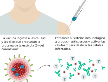 Vacunas contra el coronavirus: las fortalezas y debilidades de las nueve candidatas más adelantadas