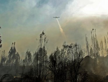 Declaran Alerta Temprana Preventiva para la región de Valparaíso, excepto Isla de Pascua, por amenaza de incendio forestal