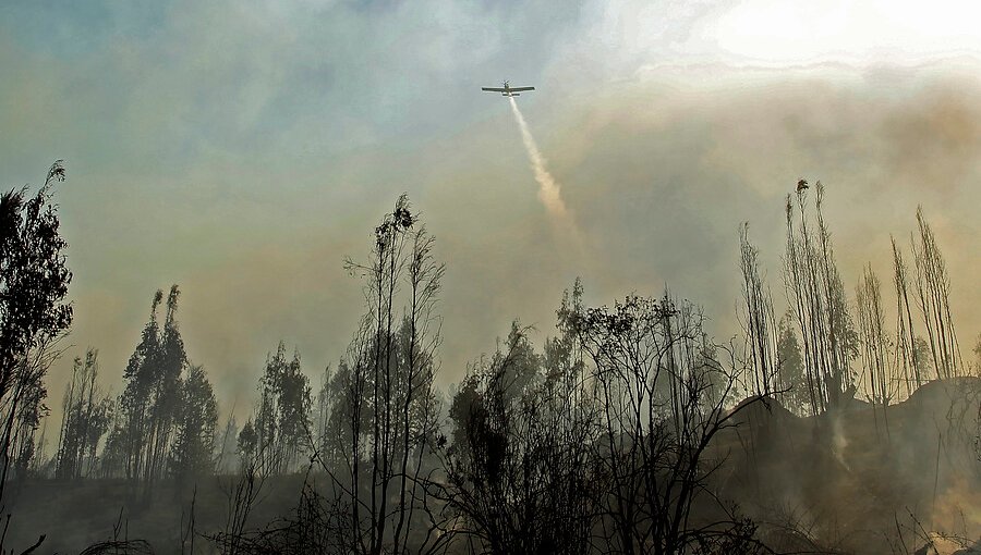 Declaran Alerta Temprana Preventiva para la región de Valparaíso, excepto Isla de Pascua, por amenaza de incendio forestal