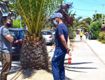 Psicóloga UPLA explica claves para el retorno de las actividades fuera de casa