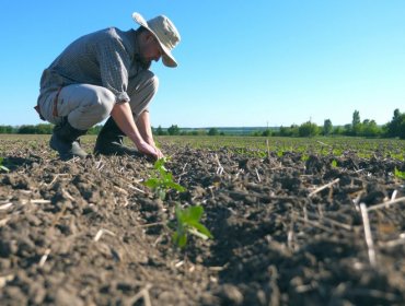 Pequeños agricultores podrán postular a Indap pese a aumento de avalúo fiscal predios