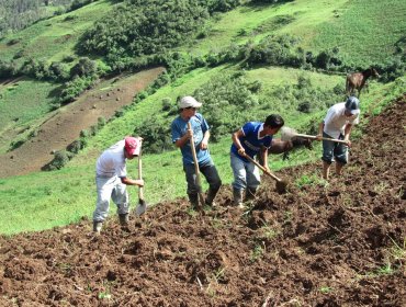 Senadora Allende critica reavalúo de bienes raíces a pequeños agricultores: "Los hace no ser considerados como beneficiarios Indap"