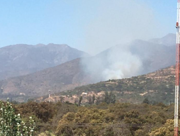 Incendio forestal se registra en sector San Isidro de Quillota: Conaf y Bomberos combaten las llamas