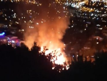 Incendio consumió dos viviendas en sector de Achupallas en Viña del Mar