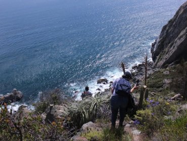 Advierten que acantilados de Laguna Verde poseen más de 300 especies de flora que urge conservar