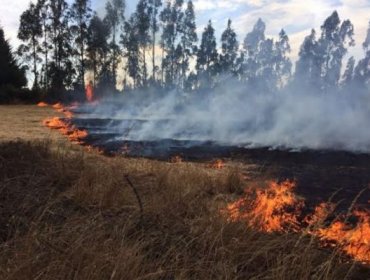 Capturan a dos hombres sindicados como responsables de iniciar un incendio forestal en Limache