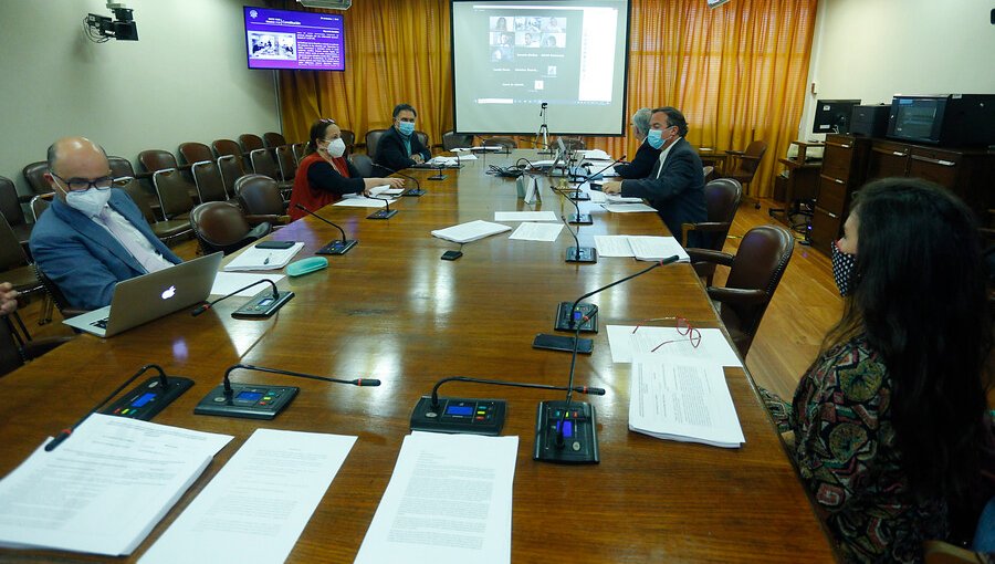 Comisión de Constitución de la Cámara aprueba voto de chilenos en el exterior para elegir integrantes de la Convención Constituyente