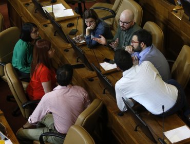 Revolución Democrática recurrirá al Tribunal Constitucional tras aprobación de informe sobre Ley Migratoria