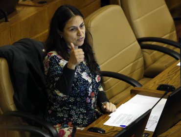 Diputada Francesca Muñoz asegura que proyecto de Migración sería una solución a la inmigración ilegal