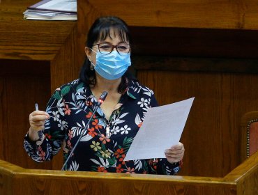 Diputada Marzán por indicación que permite el retiro forzoso para deudores de pensiones alimenticias: "Se aplicará tanto a este retiro como al primero"