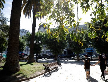 Comienzan los trabajos de mejoramiento y reparación de la plaza Victoria de Valparaíso