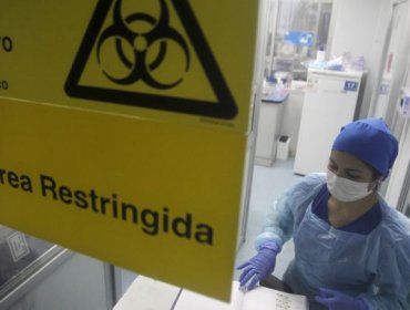 Coronavirus en Chile: 1.035 contagios nuevos, 8.647 casos activos y otros ocho decesos asociados a Covid-19