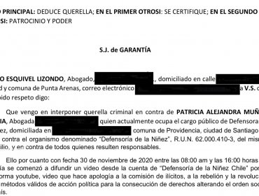 «Saltarse los torniquetes»: La querella criminal por Ley de Seguridad Interior del Estado que complica a la Defensora de la Niñez