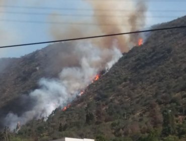 Incendio forestal afecta a sector de Quebrada Alvarado en Olmué: decretan Alerta Roja para la comuna