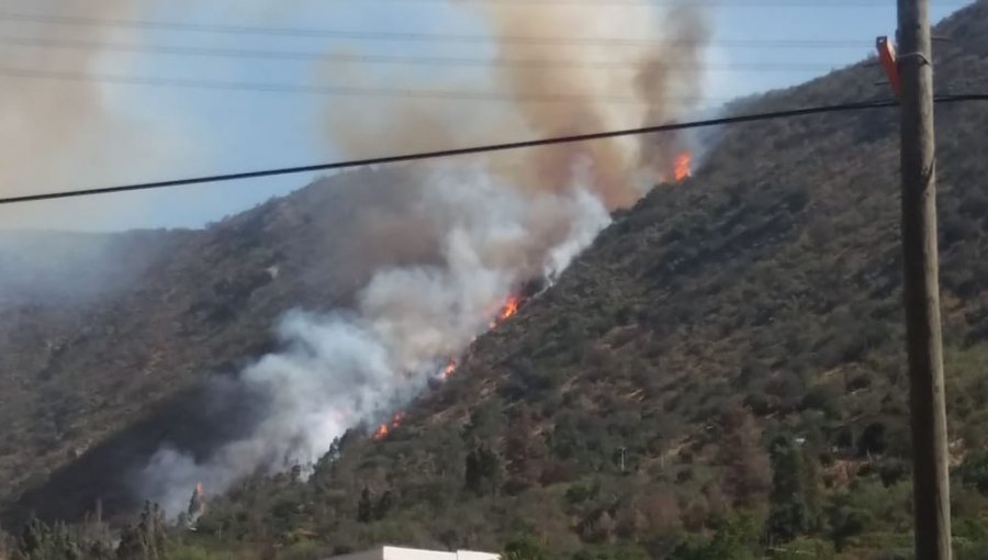 Incendio forestal afecta a sector de Quebrada Alvarado en Olmué: decretan Alerta Roja para la comuna