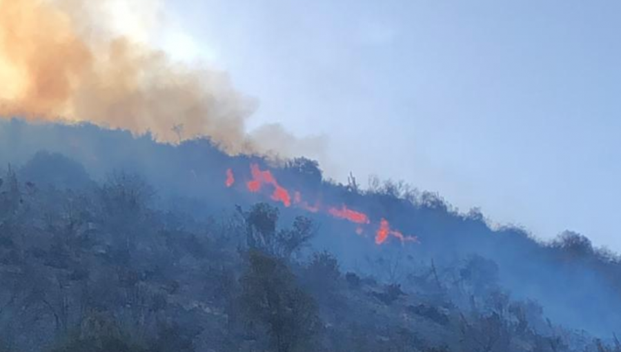 Activo se mantiene incendio forestal que consume cerca de 10 hectáreas de pastizal y arbolado nativo en Olmué