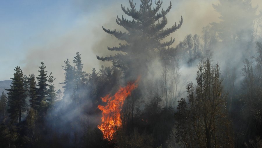 Declaran Alerta Roja por incendio forestal en María Pinto y Melipilla