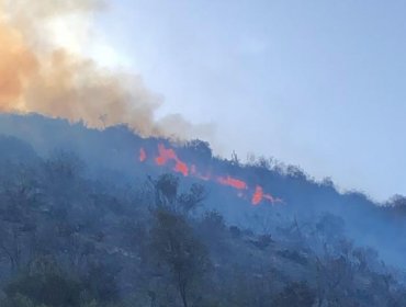 Activo se mantiene incendio forestal que consume cerca de 10 hectáreas de pastizal y arbolado nativo en Olmué